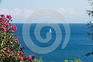 Panorama wiew of  Panarea island in a summer day, Aeolian Islands, Italy