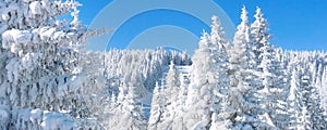 Panorama winter banner ski resort Kopaonik, Serbia