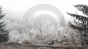 Panorama of winter forest, Kutna Hora, Czech Republic