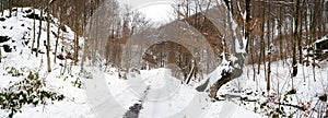 Panorama of winter forest, snowy road