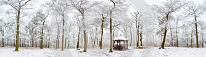 Panorama of winter forest with trees covered snow