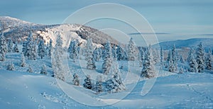 Panorama of Winter landscape of snow-capped mountains. Trees Covered With Snow In Sunny Day With Clear Blue Sky