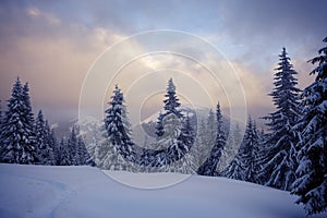 Panorama of winter mountains before storm