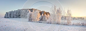 Panorama of winter nature landscape. Panoramic view on frosty trees on snowy meadow in morning with warm yellow sunlight