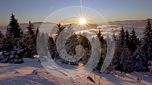 Panorama of Winter snowy forest in cold alpine mountains in colorful sunrise nature