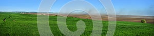 panorama of of winter wheat and clouds of dust on the hills of plowed lands, dust storms, problem of soil erosion