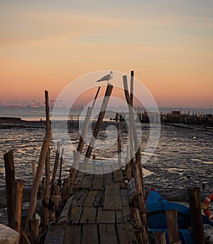 Panorama of wooden pier on stilts boat dock wharf port harbour Cais Palafitico da Carrasqueira Setubal Alentejo Portugal