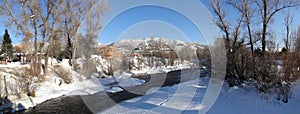 Panorama, Yampa River and cottonwoods in winter