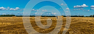 Panorama of yellow golden bales of wheat hay straw stacked in a heap in stubble field