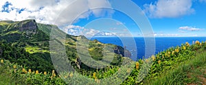 Panoramaview of basalt cliffs of Rocha dos Bordoes on Flores island, Azores, Portugal