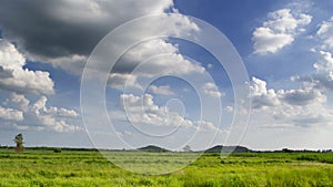 Panoramaâ€‹ Landscapeâ€‹ Caneâ€‹ farmâ€‹ andâ€‹ mountainâ€‹ viewâ€‹ underâ€‹ blueskyâ€‹ andâ€‹ tropicalâ€‹