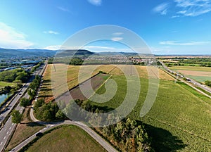 Panoramic Aerial View of Daweid Corn Fields: The Contested Upcoming ZAC in Florival, Guebwiller 2023 Vision, Haut-Rhin, Alsace photo