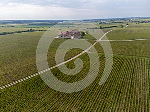 Panoramic aerial view on green grand cru champagne vineyards near villages Avize and Oger, Cotes des Blancs, Champange, France