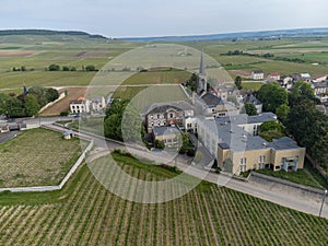 Panoramic aerial view on green grand cru champagne vineyards near villages Avize and Oger, Cotes des Blancs, Champange, France