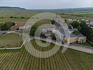 Panoramic aerial view on green grand cru champagne vineyards near villages Avize and Oger, Cotes des Blancs, Champange, France