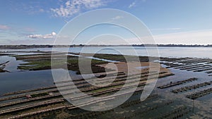 Panoramic aerial view of oyster farms in Berder Island in Morbihan