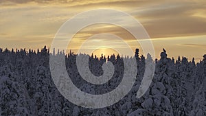 Panoramic aerial view of the toundra in the Urho Kekkonen Park