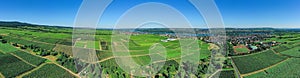 Panoramic aerial view of vineyards in the Rheingau / Germany