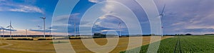 Panoramic aerial view of wind turbine with wheat and maize fields in summer. Aerial view of Eolian generator in a beautiful wheat