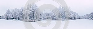 Panoramic aerial view of winter beautiful landscape with trees covered with hoarfrost and snow. Winter scenery from above.