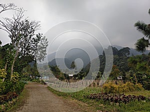 Panoramic afternoon in the countryside which is located under the mountain, implying comfort and shade