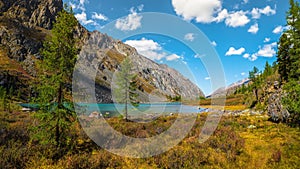 Panoramic alpine landscape with mountain lake in green valley in summer under blue sky. Awesome highland scenery with beautiful