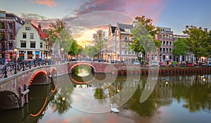 Panoramic of Amsterdam. Colorful sunrise quiet morning in Amsterdam. Typical old houses and bridges, a swan swims. Reflection in