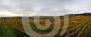 Panoramic autuimn view on champagne vineyards in village Hautvillers near Epernay, Champange, France photo