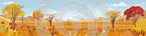 Panoramic of Autumn Countryside landscape in England, Vector illustration of horizontal banner of autumn landscape trees forest