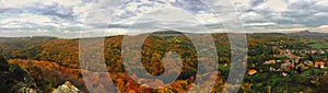 Panoramic autumn forest landscape