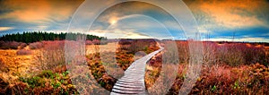 Panoramic autumn landscape with wooden path. Fall nature background