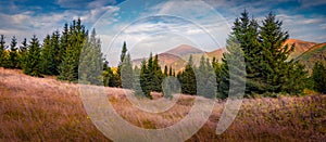 Panoramic autumn view of Carpathian mountains with Hoverla peak on background.