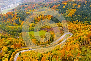 Panoramic autumn view of road