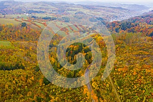 Panoramic autumn view of road