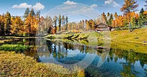 Panoramic autumn view of Scin lake with yellow larch trees. Colorful sunny scene of Dolomite Alps, Cortina d`Ampezzo location,