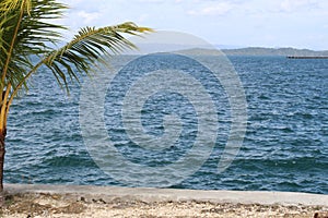 panoramic beach in beautiful muna district with coconut trees