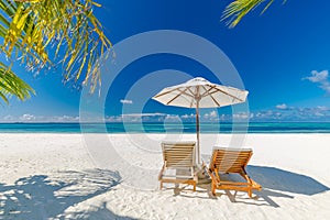 Panoramic beach paradise. Couple chairs beds with umbrella. Romantic couples getaway freedom landscape, shore tropical coast