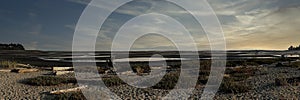 Panoramic beach view with sand dunes