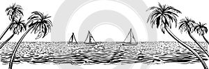 Panoramic beach with yachts regatta. Vector sketched landscape with palms and sea.