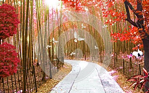 Panoramic beautiful deep forest waterfall in Thailand