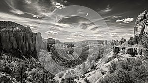 A panoramic landscape capturing an unbiased view of nature\'s diversity. Black and white photo