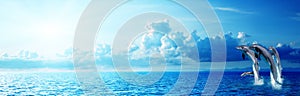Panoramic blue sea and dolphin jumping in water
