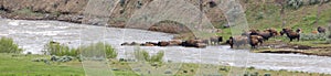 Panoramic of buffalo river crossing