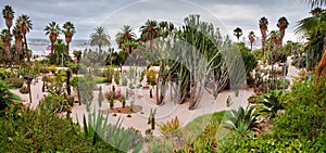 Panoramic of Cactus Park at Montjuic Barcelona