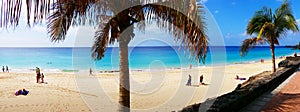 Panoramic canary islands palm beach