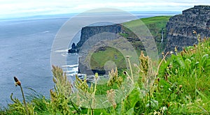 Panoramic of Cliffs of Moher