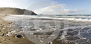 Panoramic Coastal Landscape with Stones, Mist, Trees, Sky and Sea