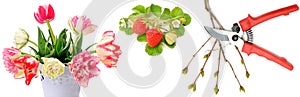 Panoramic collage. Flowers, berries and garden tools isolated on white background. Wide photo