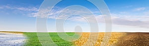 Panoramic collage of four season field under blue sky