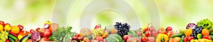 Panoramic collection fresh fruits and vegetables on green background.